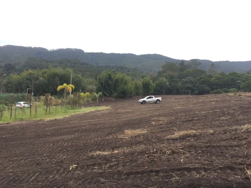 Foto 1 de Lote/Terreno à venda, 5000m² em Cezar de Souza, Mogi das Cruzes