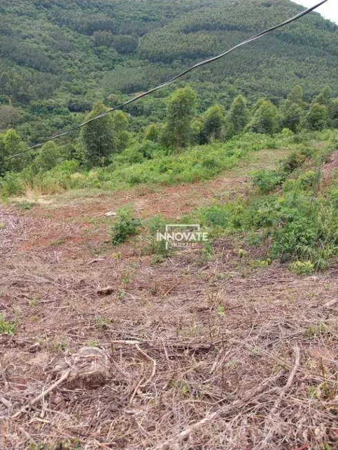 Foto 1 de Lote/Terreno à venda, 20000m² em , Morro Reuter