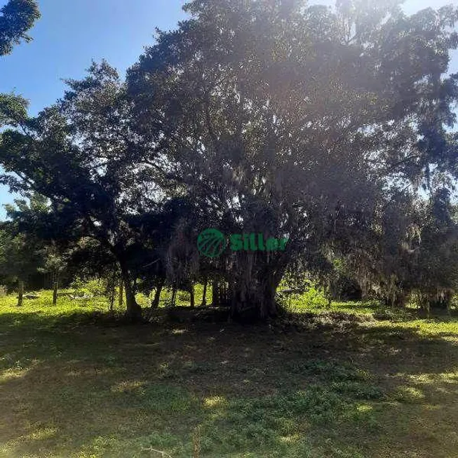 Foto 1 de Fazenda/Sítio à venda, 10000m² em Vila Nova, Glorinha