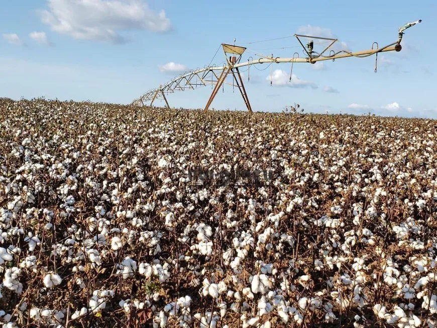 Foto 1 de Fazenda/Sítio à venda, 21780000m² em , Paranapanema