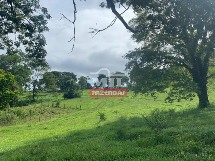 Foto 1 de Fazenda/Sítio à venda em Setor Central, Campinaçu