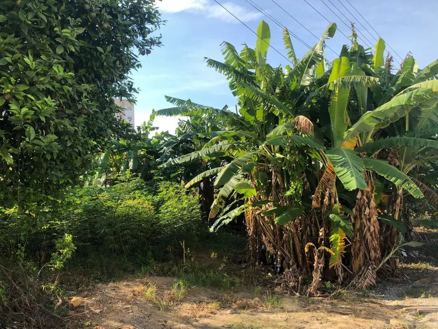 Foto 1 de Lote/Terreno à venda, 770m² em São Sebastião, Palhoça