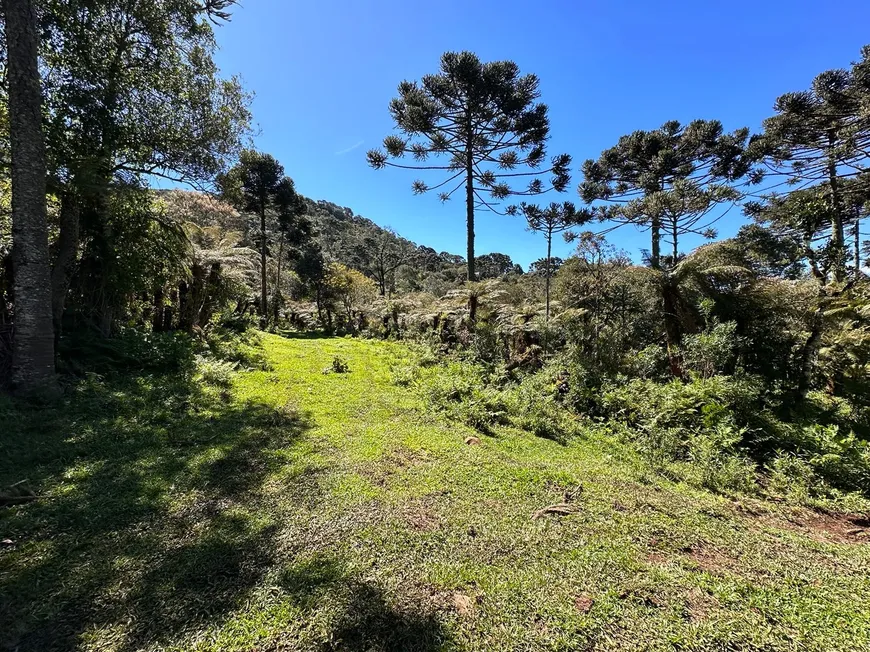 Foto 1 de Fazenda/Sítio à venda, 20000m² em , Urubici