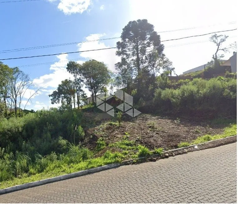 Foto 1 de Lote/Terreno à venda, 363m² em Santa Catarina, Farroupilha