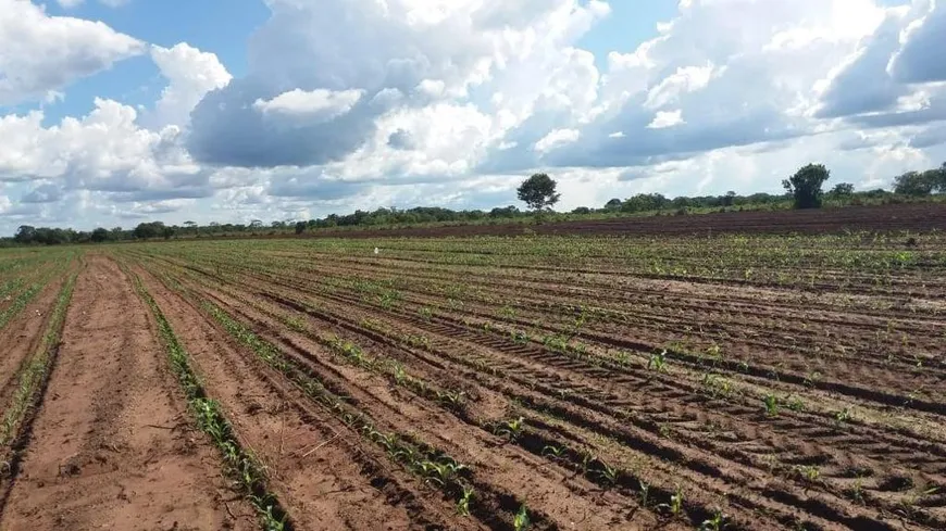 Foto 1 de Fazenda/Sítio à venda em Zona Rural, Nossa Senhora do Livramento