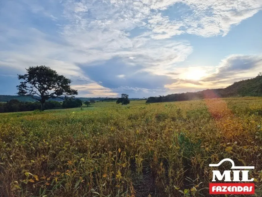 Foto 1 de Fazenda/Sítio à venda em Zona Rural, Alexânia