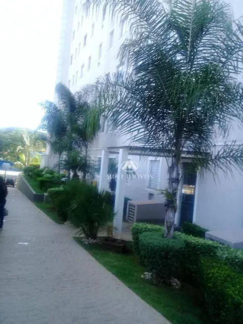 Foto 1 de Apartamento com 2 Quartos para alugar, 47m² em Jardim Paulistano, Ribeirão Preto