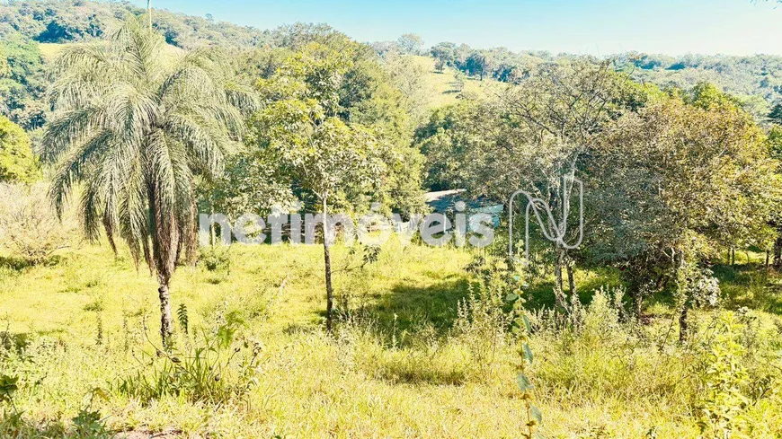 Foto 1 de Fazenda/Sítio à venda, 13225m² em Tereza Cristina, São Joaquim de Bicas