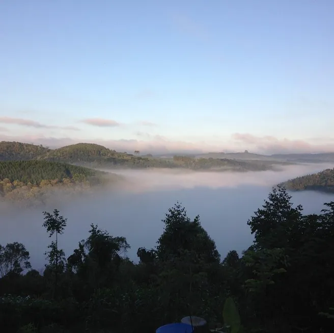 Foto 1 de Fazenda/Sítio à venda, 98000m² em Centro, Campo Largo