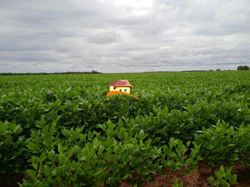 Foto 1 de Fazenda/Sítio à venda, 1m² em , Santa Rita do Tocantins