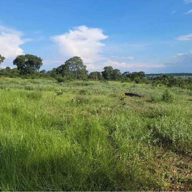 Foto 1 de Fazenda/Sítio à venda, 80000m² em Zona Rural, Ribas do Rio Pardo