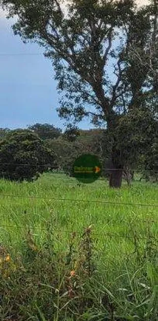 Foto 1 de Fazenda/Sítio à venda, 15100800m² em Area Rural de Barra do Garcas, Barra do Garças
