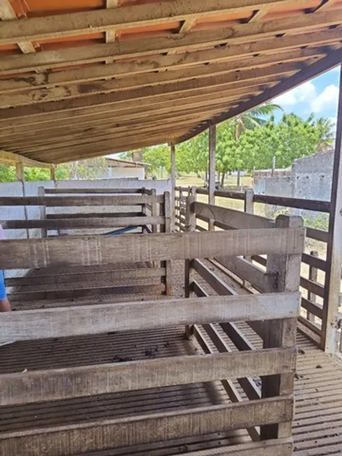 Foto 1 de Fazenda/Sítio à venda, 600000m² em Ponta Negra, Natal