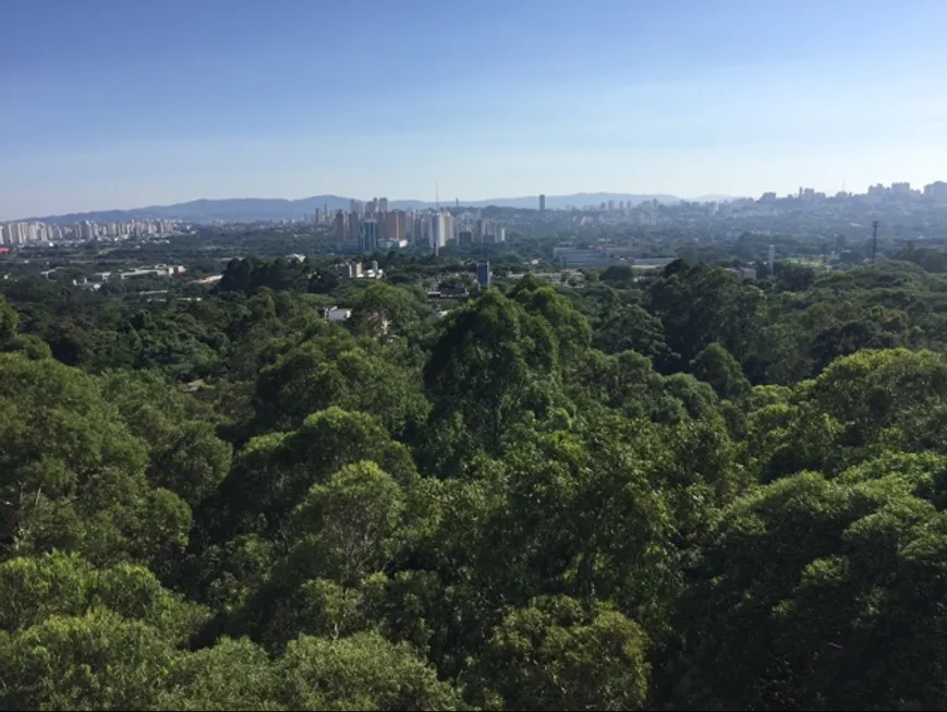 Foto 1 de Apartamento com 3 Quartos à venda, 111m² em Vila Indiana, São Paulo