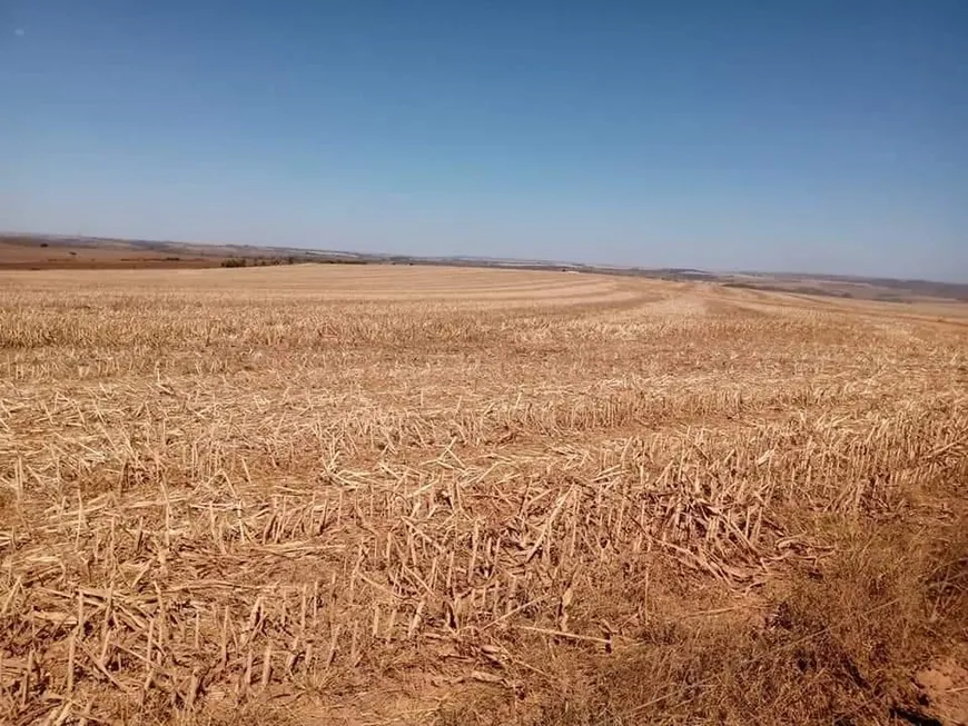 Foto 1 de Fazenda/Sítio com 3 Quartos à venda, 650000m² em Zona Rural, Viradouro