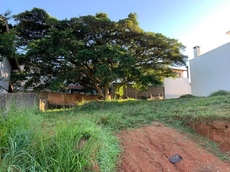 Foto 1 de Lote/Terreno à venda, 250m² em Protásio Alves, Porto Alegre