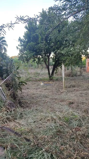 Foto 1 de Fazenda/Sítio com 2 Quartos à venda, 250m² em Zona Rural, São José do Rio Preto