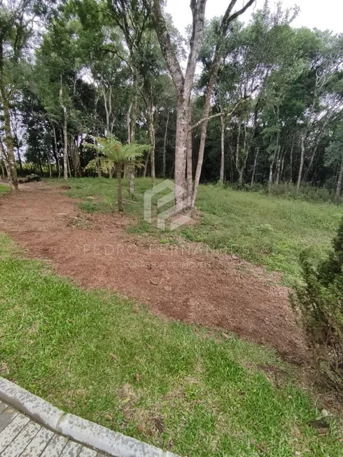 Foto 1 de Lote/Terreno à venda, 1000m² em Bateias de Baixo, Campo Alegre