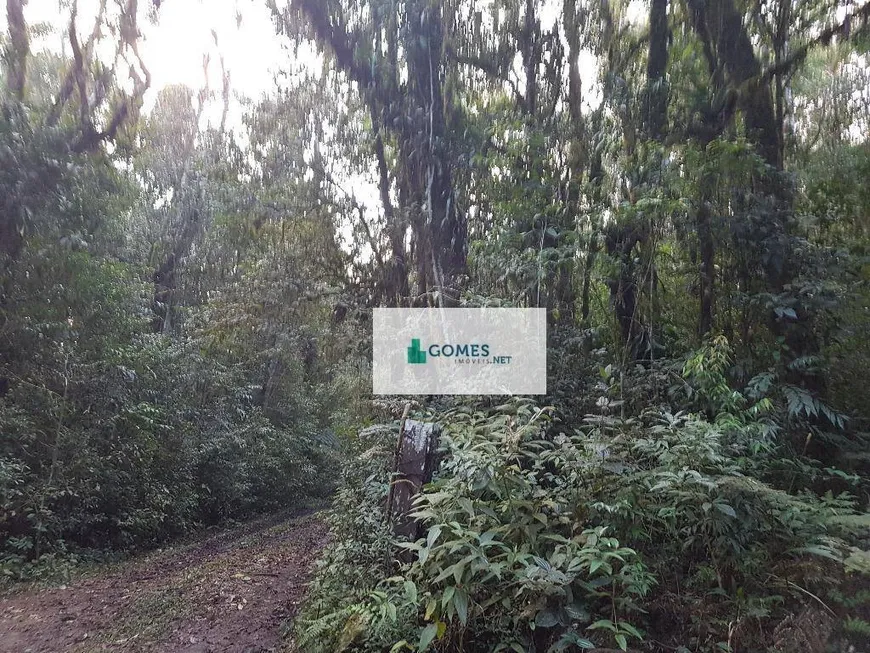 Foto 1 de Lote/Terreno à venda, 27285m² em Borda do Campo, São José dos Pinhais