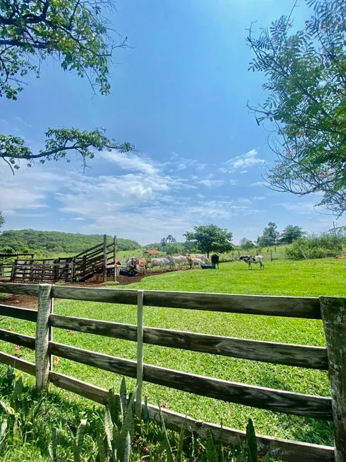 Foto 1 de Fazenda/Sítio com 3 Quartos à venda, 3200000m² em Zona Rural, Aragoiânia