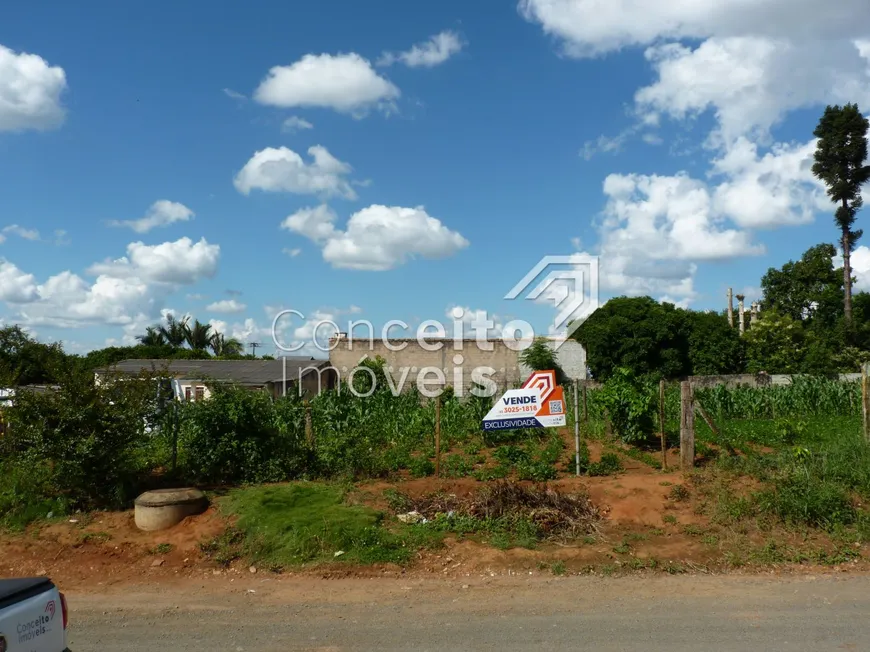 Foto 1 de Lote/Terreno à venda, 490m² em Piriquitos, Ponta Grossa