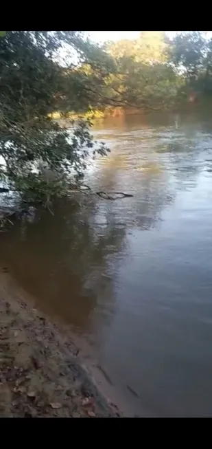 Foto 1 de Fazenda/Sítio à venda em Zona Rural, Uruana