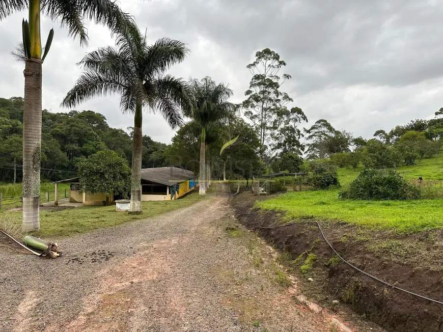 Foto 1 de Fazenda/Sítio com 5 Quartos à venda, 600m² em Pião, Piracaia