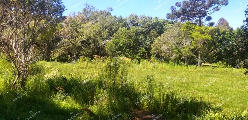 Foto 1 de Fazenda/Sítio com 1 Quarto à venda, 12000m² em Zona Rural, São José dos Pinhais