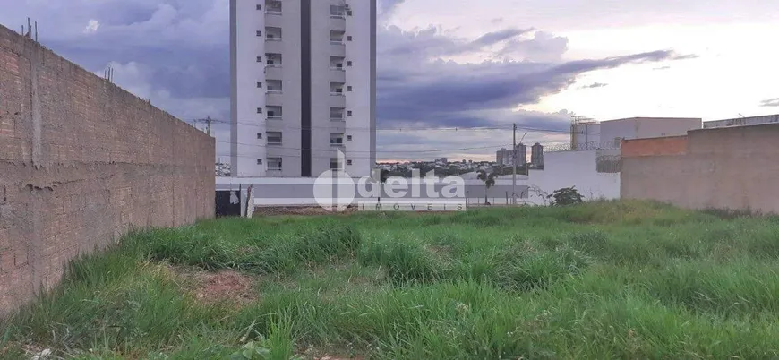 Foto 1 de Lote/Terreno à venda, 250m² em Laranjeiras, Uberlândia