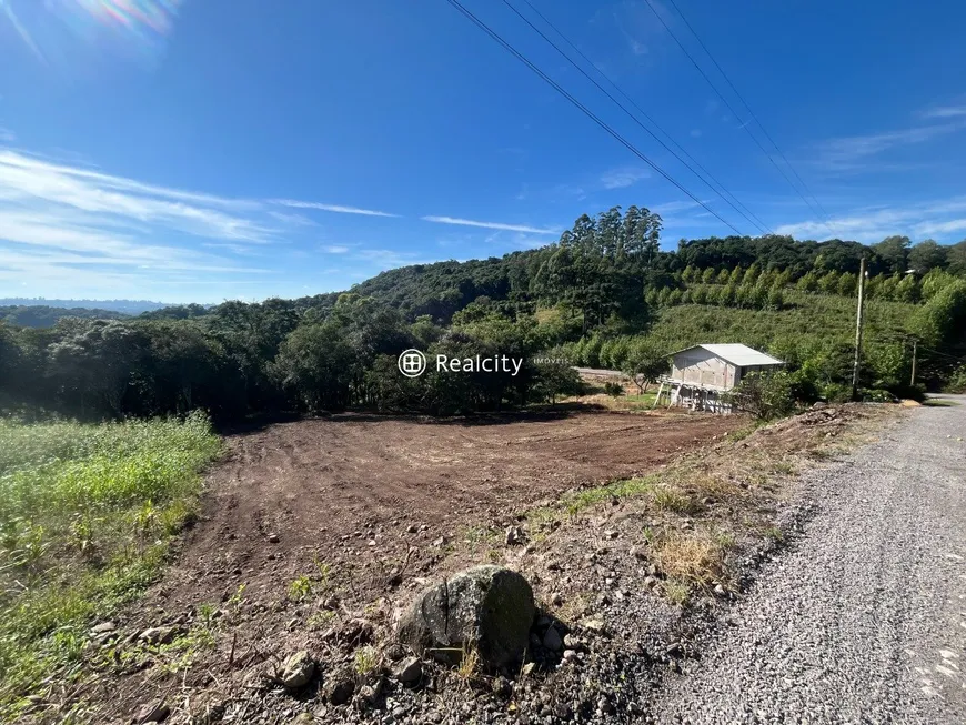 Foto 1 de Lote/Terreno à venda, 3964m² em Vale dos Vinhedos, Bento Gonçalves