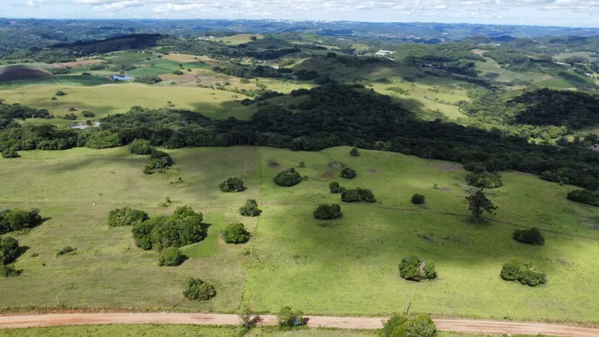 Foto 1 de Lote/Terreno à venda em Vila Seca, Caxias do Sul