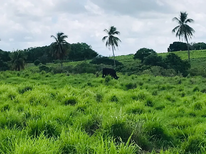 Foto 1 de Fazenda/Sítio com 3 Quartos à venda, 200m² em , Monte Alegre