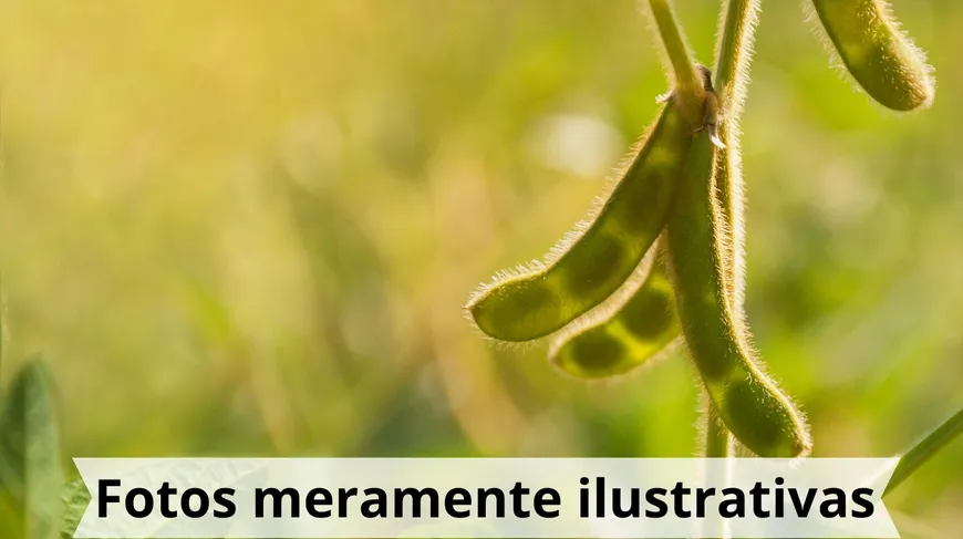 Foto 1 de Fazenda/Sítio à venda, 500m² em Cidade dos Pirineus, Cocalzinho de Goiás