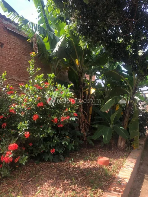 Foto 1 de Casa com 3 Quartos para venda ou aluguel, 225m² em Bonfim, Campinas