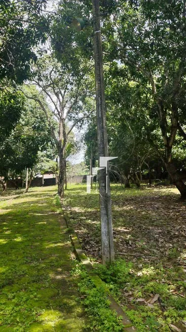 Foto 1 de Lote/Terreno à venda, 40000m² em Santa Luzia, Teresina