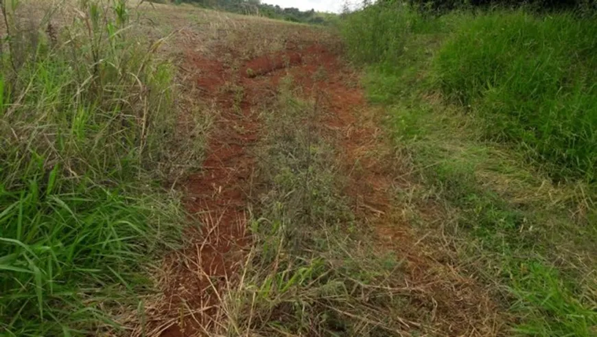 Foto 1 de Fazenda/Sítio com 1 Quarto à venda, 20000m² em Bairro Limoeiro, Londrina