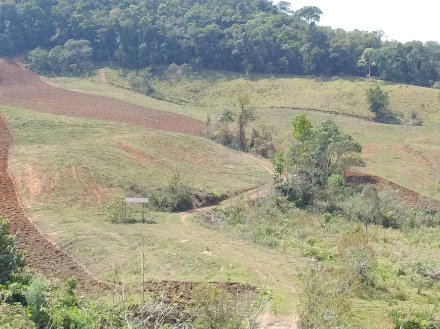 Foto 1 de Fazenda/Sítio com 6 Quartos à venda, 630000m² em , Cristina