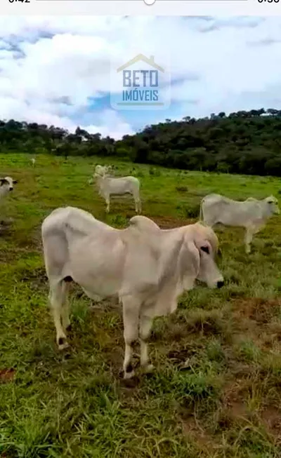 Foto 1 de Fazenda/Sítio à venda, 6921200m² em Zona Rural, Luziânia