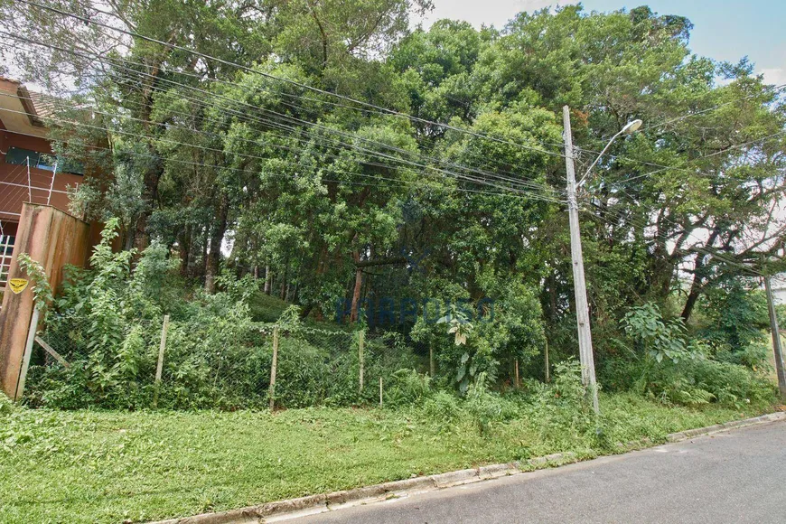 Foto 1 de Lote/Terreno à venda, 495m² em Santa Felicidade, Curitiba