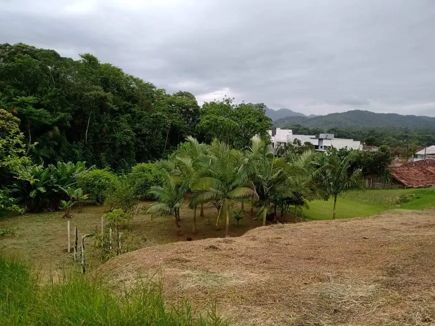 Foto 1 de Lote/Terreno à venda, 870m² em Ilha da Figueira, Jaraguá do Sul