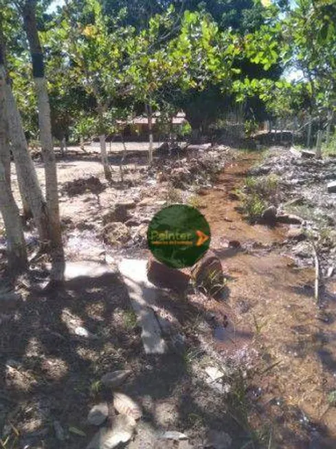 Foto 1 de Fazenda/Sítio com 2 Quartos à venda, 411400m² em Zona Rural, Uruana