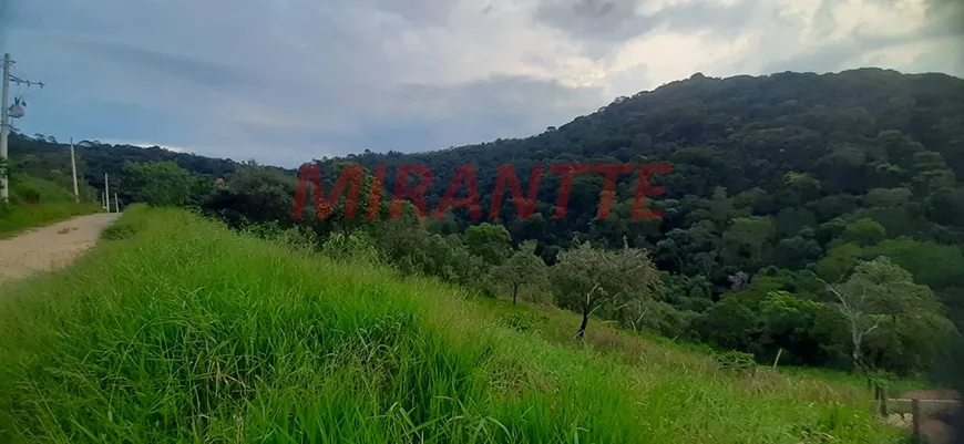 Foto 1 de Lote/Terreno à venda, 1036m² em Serra da Cantareira, São Paulo