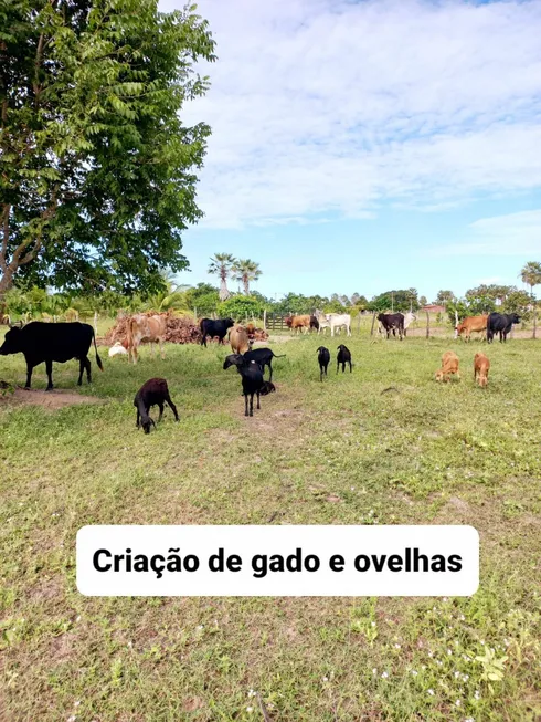 Foto 1 de Fazenda/Sítio com 2 Quartos à venda, 120m² em , Lagoa de Pedras