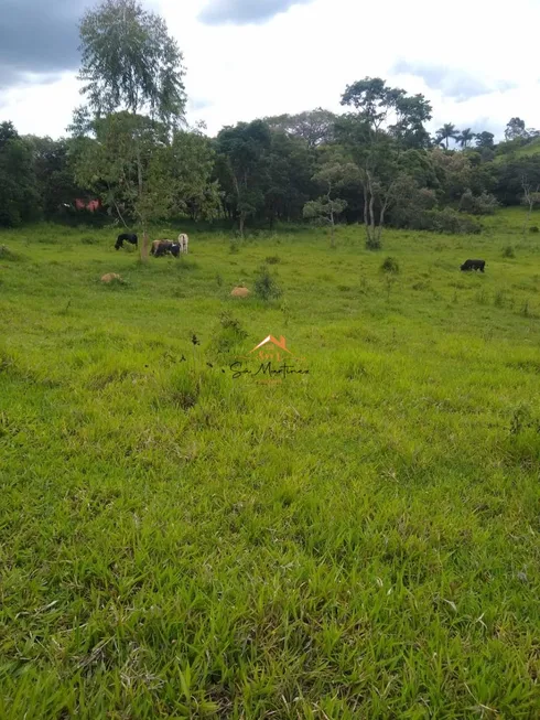 Foto 1 de Lote/Terreno à venda, 1981m² em Maracanã, Jarinu