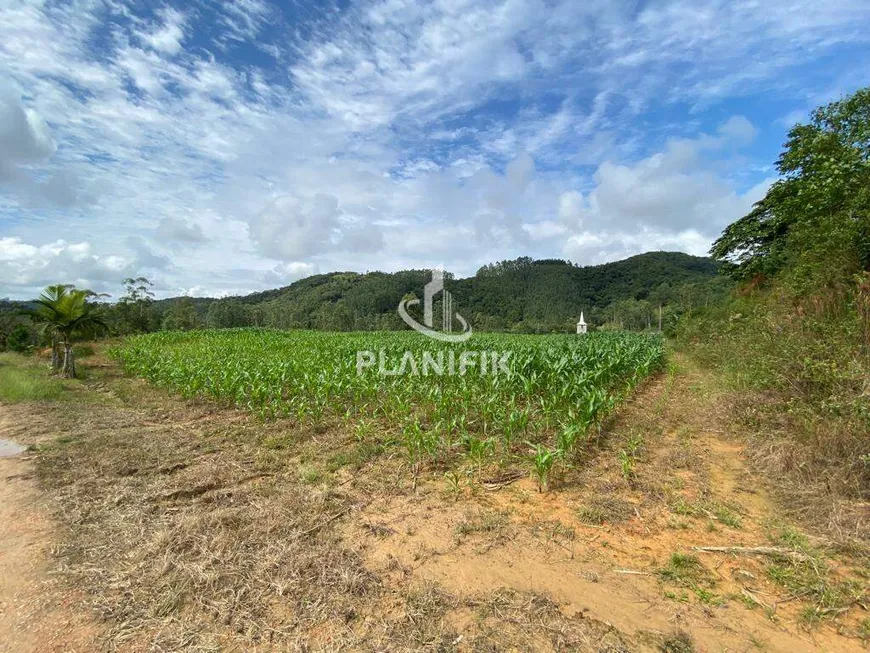 Foto 1 de Lote/Terreno à venda, 15000m² em Planicie Alta, Guabiruba