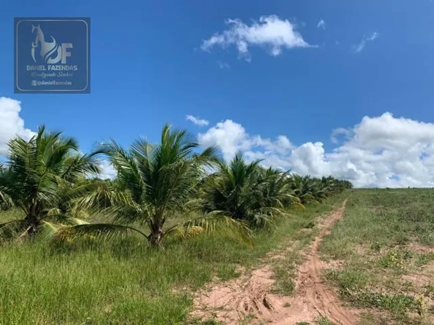 Foto 1 de Fazenda/Sítio com 3 Quartos à venda, 40000m² em Centro, 