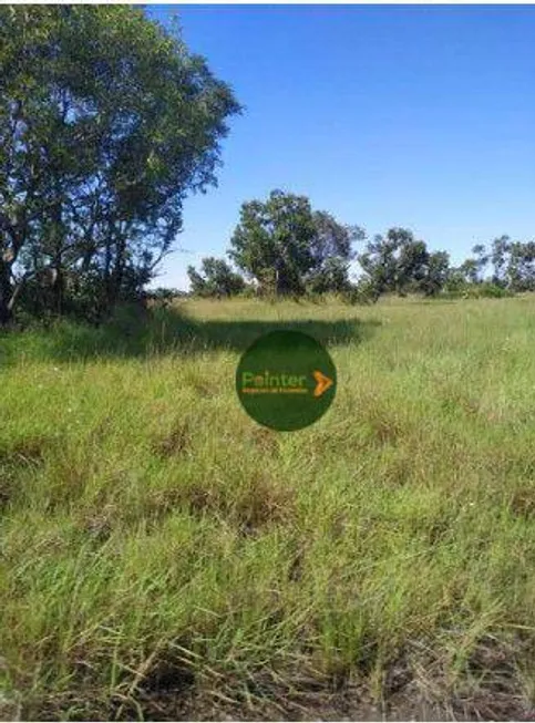 Foto 1 de Fazenda/Sítio à venda, 78000000m² em Zona Rural, Luciára