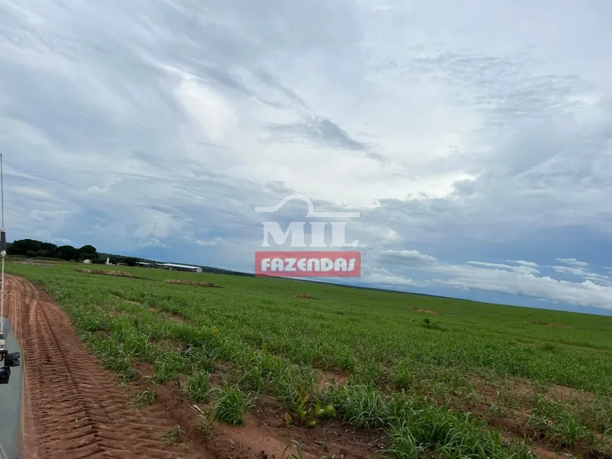 Foto 1 de Fazenda/Sítio à venda, 2600m² em Zona Rural, Centenário