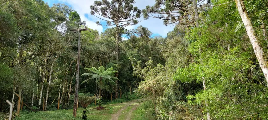 Foto 1 de Fazenda/Sítio com 1 Quarto à venda, 20253m² em , Bocaiúva do Sul