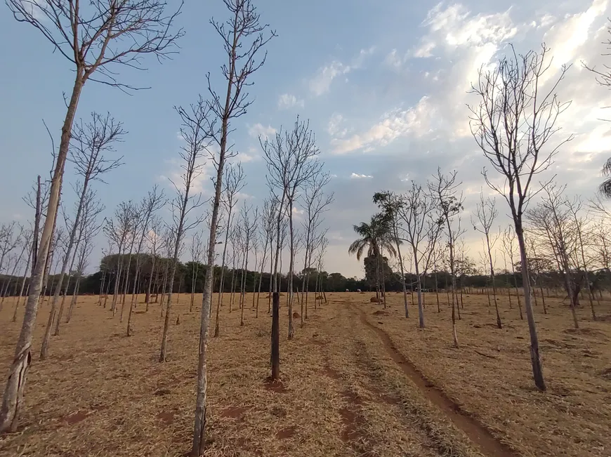 Foto 1 de Fazenda/Sítio à venda, 55875m² em Area Rural de Goiania, Goiânia